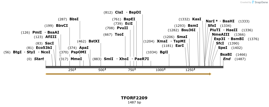 278663_map