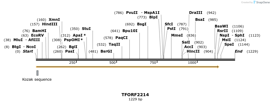 278666_map