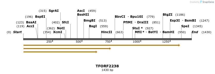 278669_map