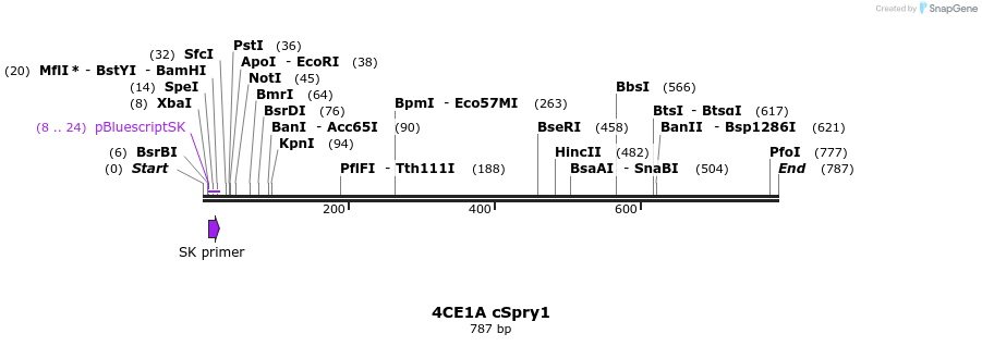 27867_map