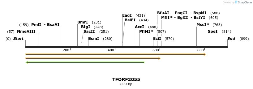 278672_map