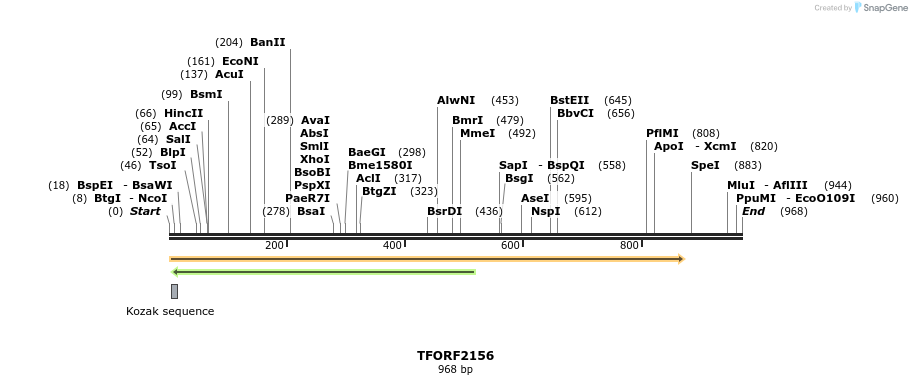 278675_map