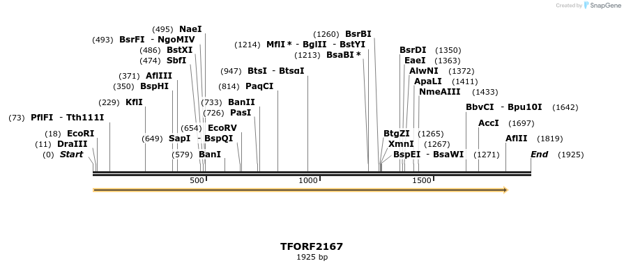 278678_map
