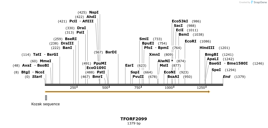 278687_map