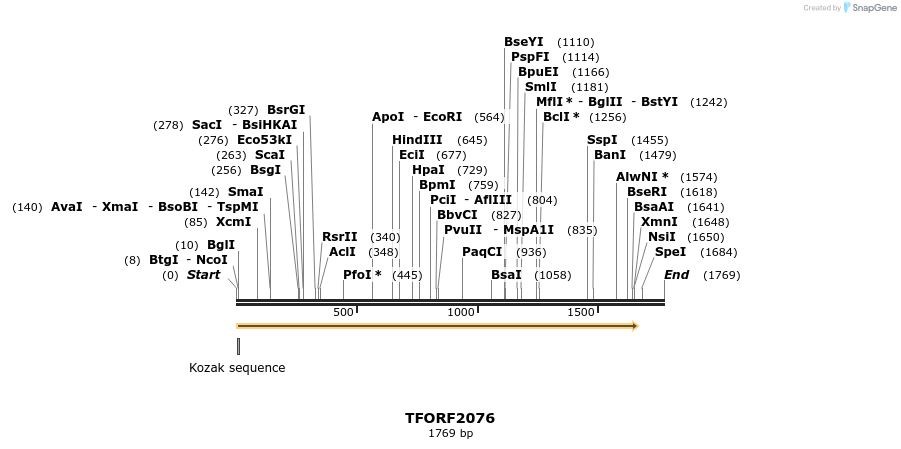 278693_map