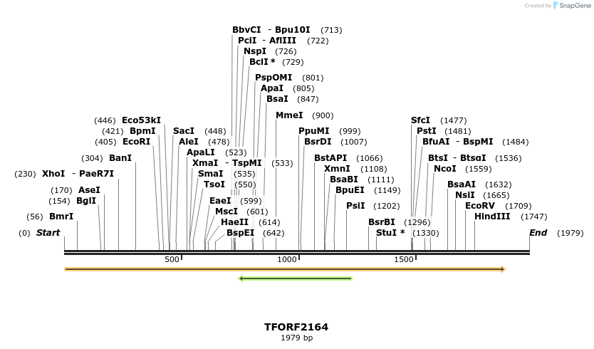 278696_map