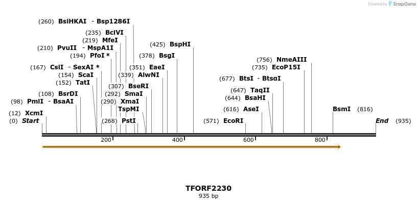 278699_map