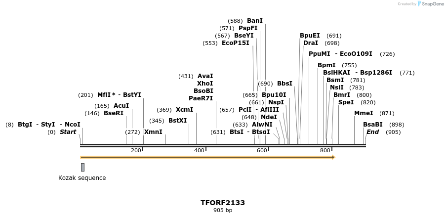278702_map