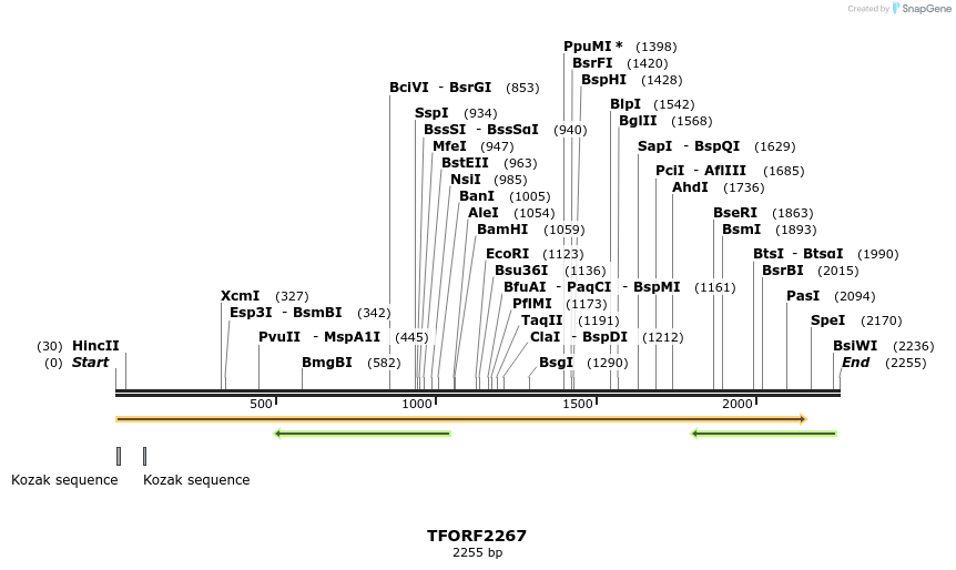 278705_map