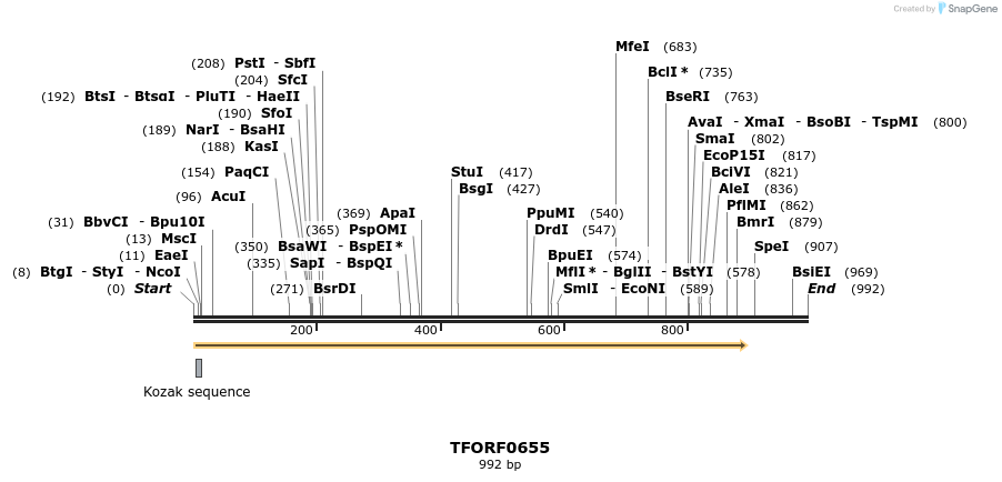 278708_map