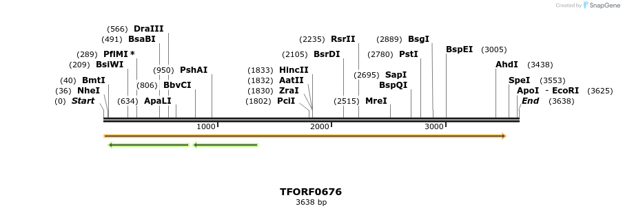278711_map