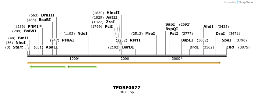 278714_map