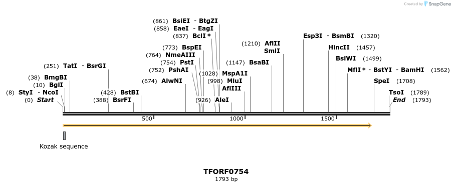 278717_map