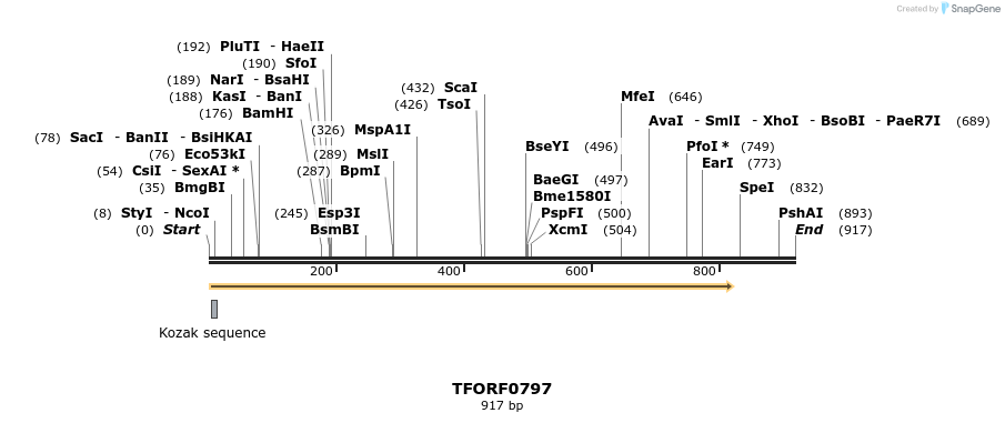 278723_map
