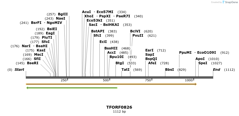 278726_map