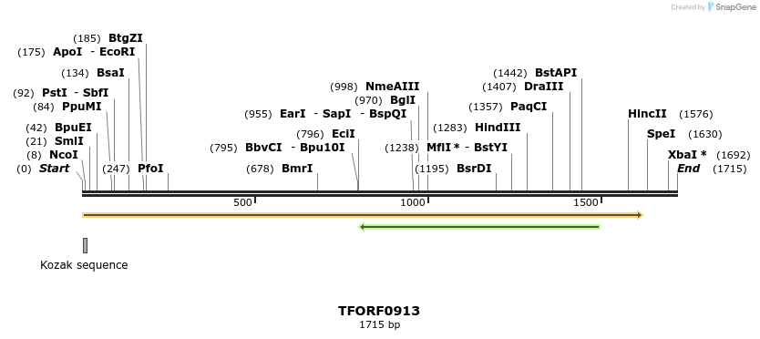278729_map