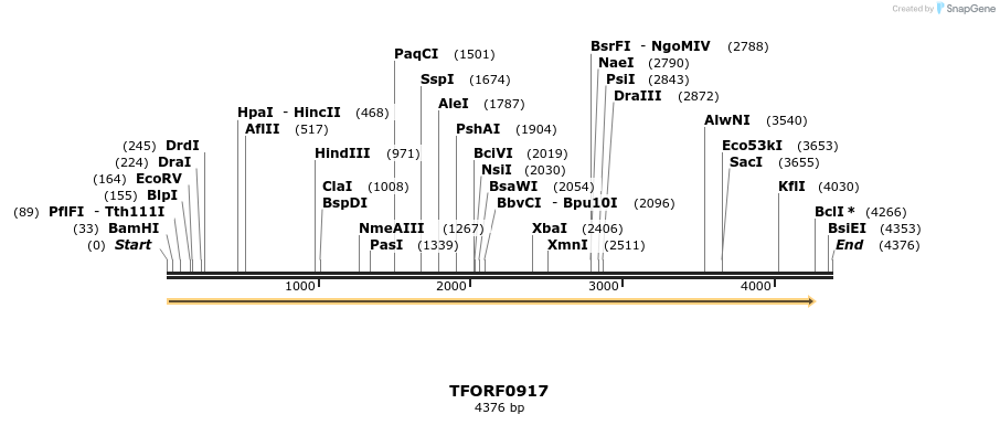 278732_map