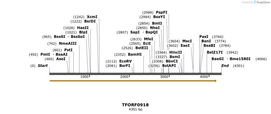 278735_map