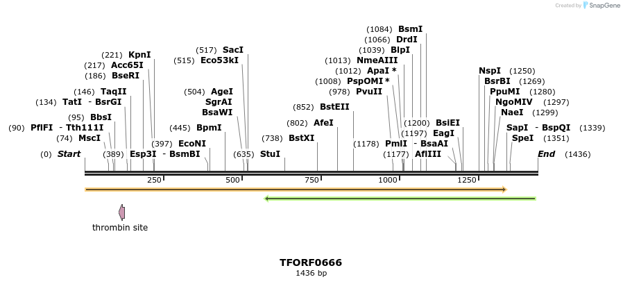 278738_map