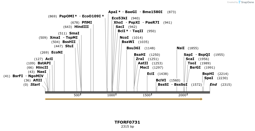 278741_map