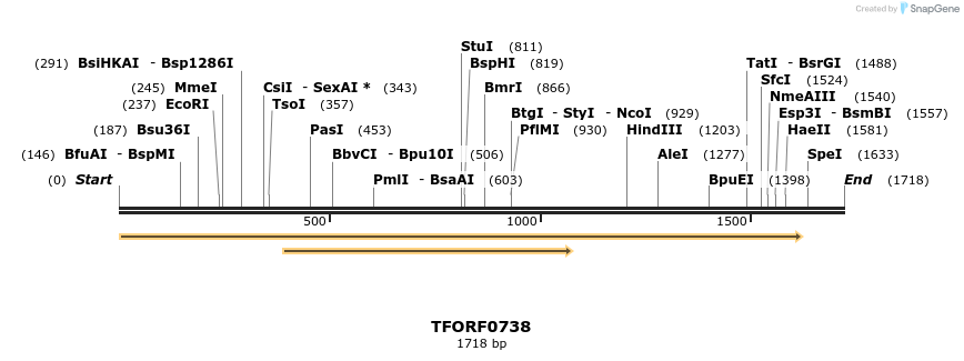278744_map