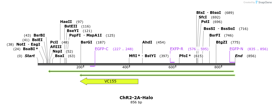 27875_map