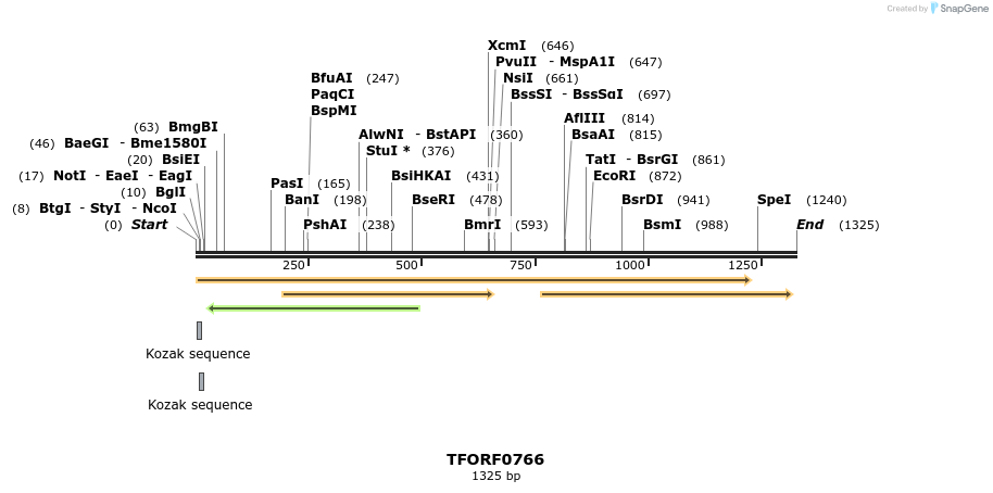 278750_map