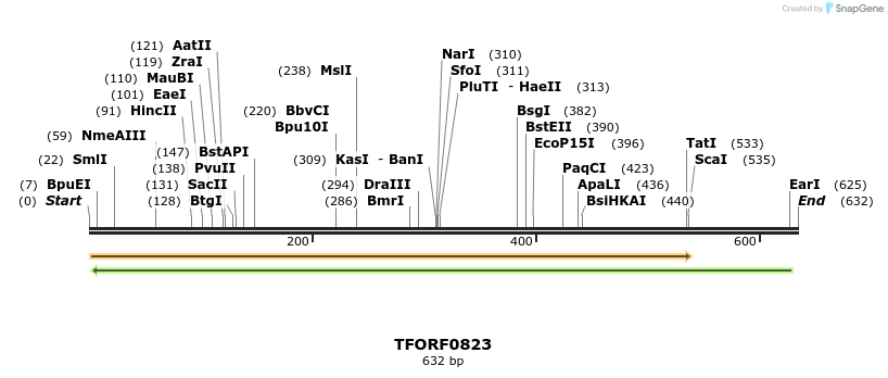 278753_map