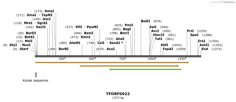 278759_map