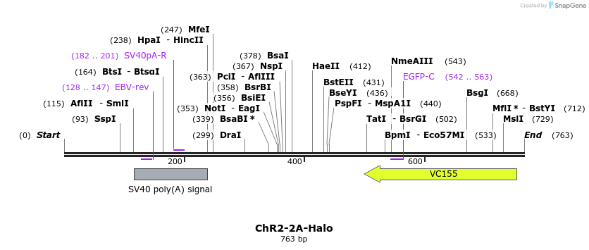 27876_map
