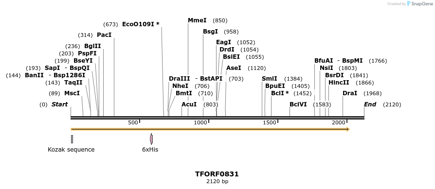 278762_map