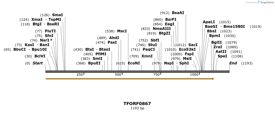 278765_map