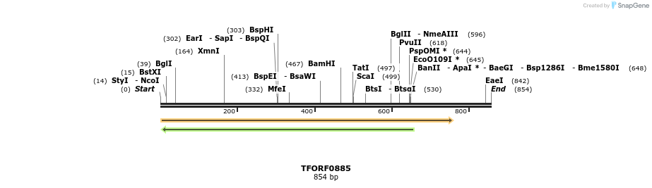 278768_map