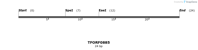 278769_map