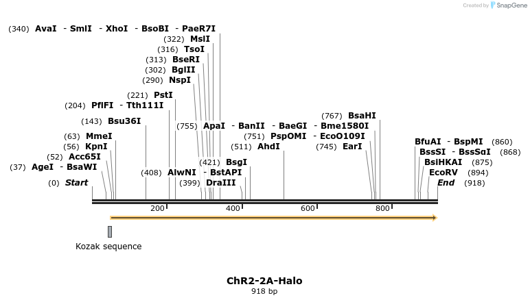 27877_map