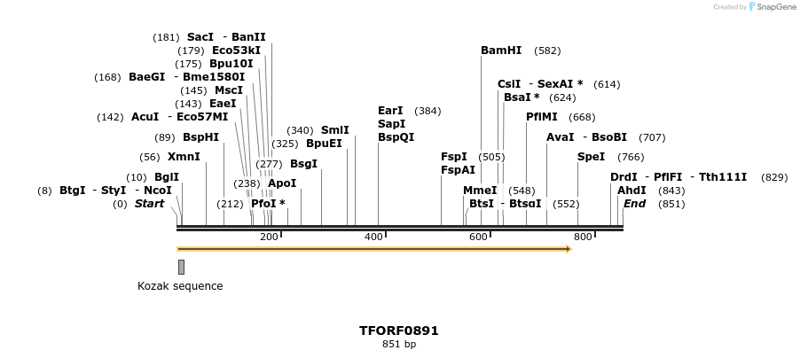 278771_map