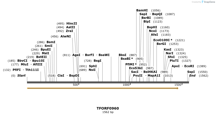 278777_map