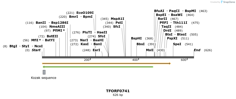 278786_map