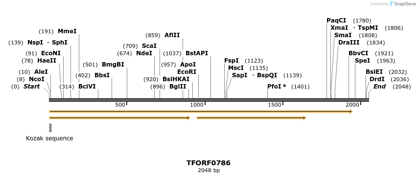 278789_map