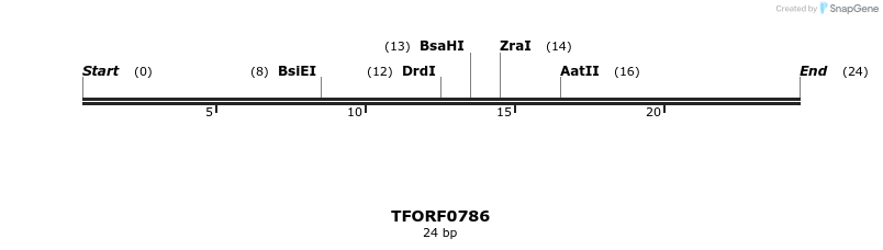278790_map