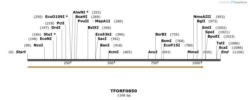 278792_map