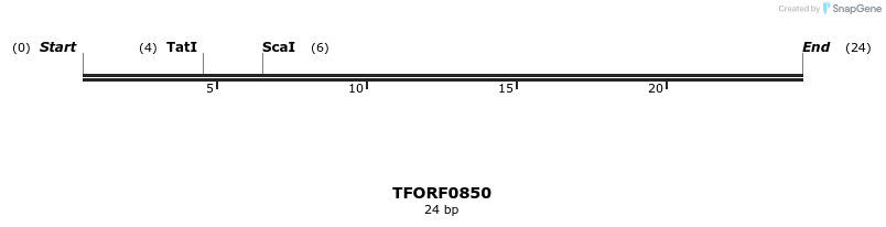 278793_map