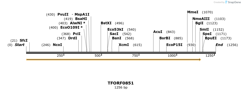 278795_map