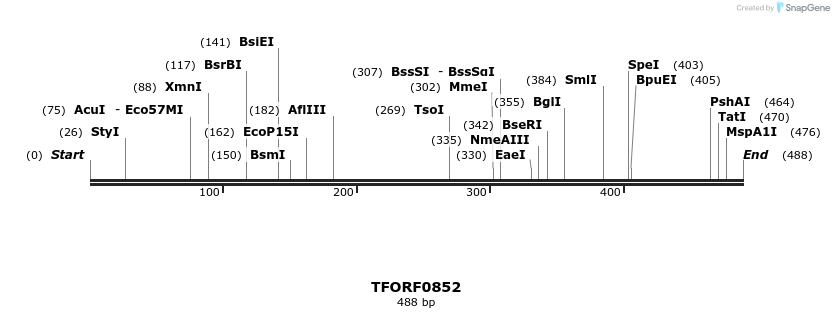 278798_map
