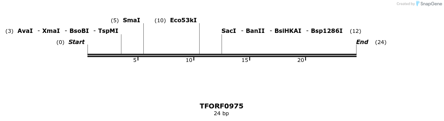 278805_map