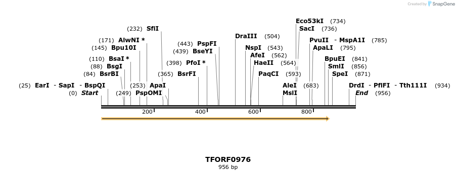 278807_map