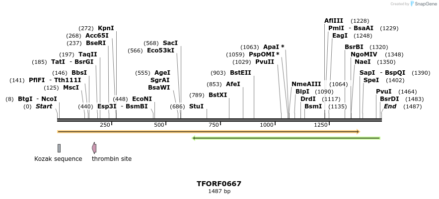 278810_map
