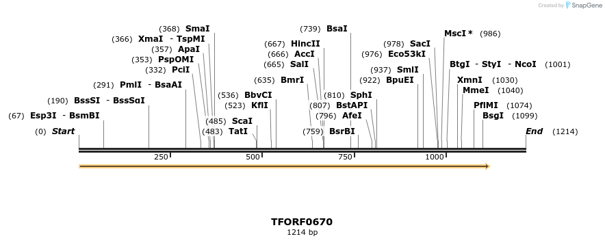 278813_map