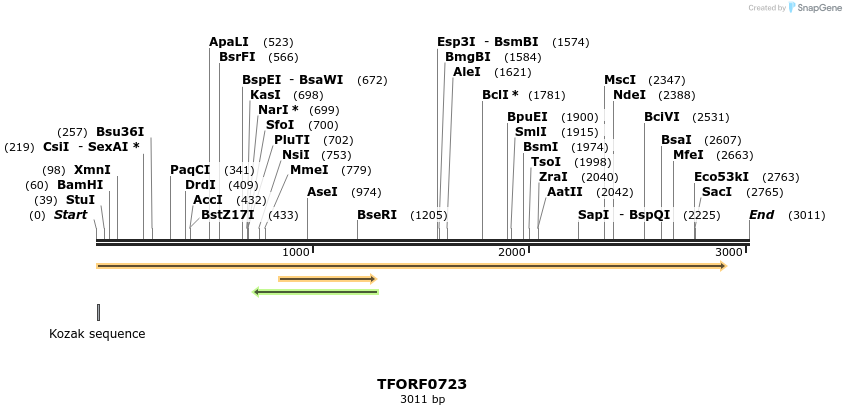 278816_map