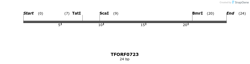 278817_map